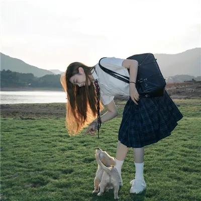 十字谜情
